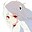 user1752